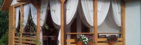 Золотые караси. Фото 3578.