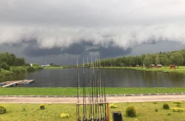 Золотые караси. Фото 3583.