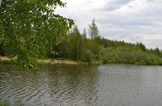 Литвиново. Фото 3592.