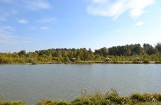 Литвиново. Фото 3595.