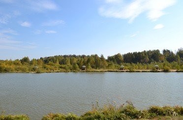 Литвиново. Фото 3595.