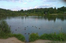 Литвиново. Фото 3600.