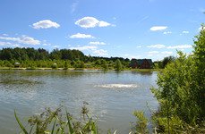 Литвиново. Фото 3601.