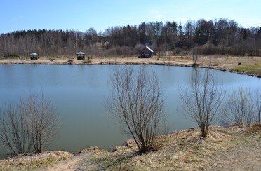 Литвиново. Фото 3606.