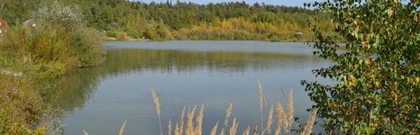 Литвиново. Фото 3608.