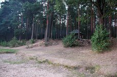 Озеро Копанское. Фото 362.
