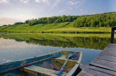 Ромашково. Фото 3643.