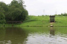 Ромашково. Фото 3648.