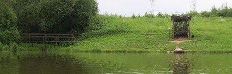 Ромашково. Фото 3648.