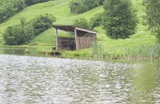 Ромашково. Фото 3649.