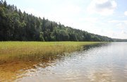 Озеро Копанское. Фото 365.