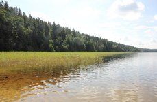 Озеро Копанское. Фото 365.
