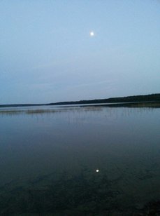 Озеро Копанское. Фото 366.