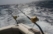 Captain Hook fishing charters. Фото 3667.