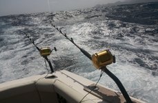 Captain Hook fishing charters. Фото 3667.