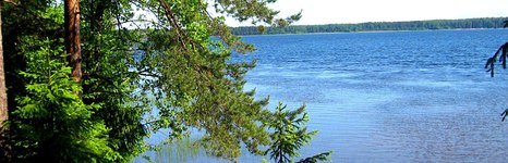 Озеро Копанское. Фото 367.