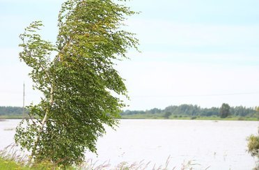 Рыбное. Фото 3673.