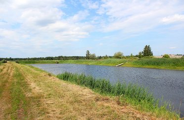 Рыбное. Фото 3675.