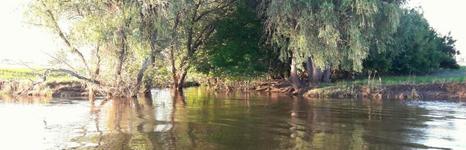 Ахтуба-клуб. Фото 3733.