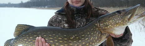 Креницы. Фото 378.