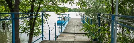 Солнышко. Фото 3788.