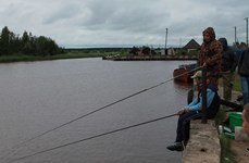 Креницы. Фото 379.