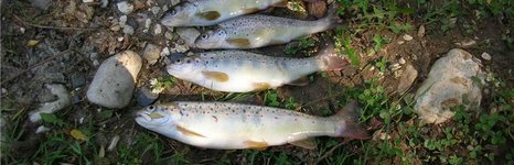 База в Ейском районе. Фото 3799.