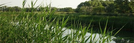 База в Ейском районе. Фото 3800.