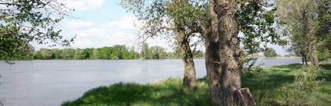 Дом рыбака на Ахтубе. Фото 3819.