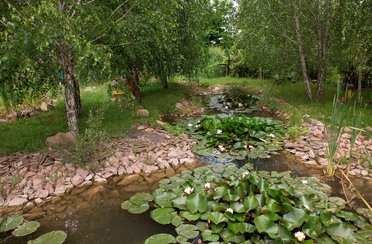 Рыбацкая деревня. Фото 3835.