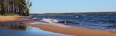 Белые ночи. Фото 3904.