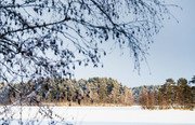 Белые ночи. Фото 3908.