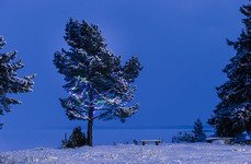 Белые ночи. Фото 3910.