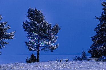 Белые ночи. Фото 3910.