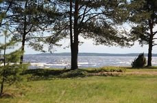 Белые ночи. Фото 3915.