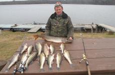 Барсуково. Фото 3927.