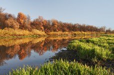 Гостиница в Брыкином бору. Фото 3950.
