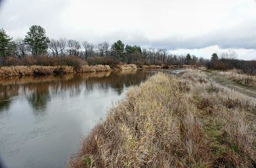 Гостиница в Брыкином бору. Фото 3952.