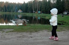 Савватьево. Фото 3963.