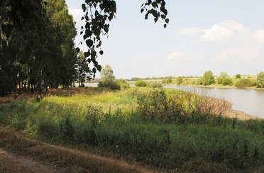 Синец. Фото 3967.