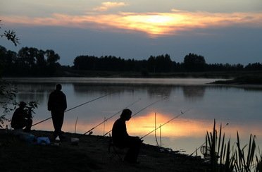 Синец. Фото 3970.