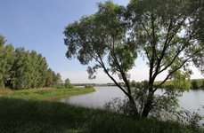 Синец. Фото 3973.