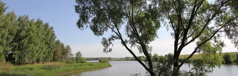 Синец. Фото 3973.