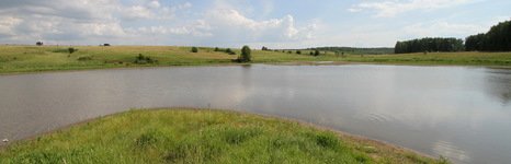 Синец. Фото 3977.