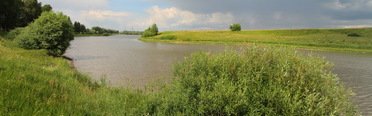 Синец. Фото 3978.
