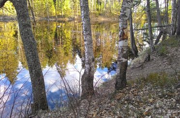 Горка. Фото 3992.
