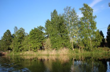 Кобона. Фото 416.