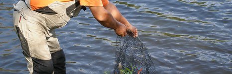 Хуторок. Фото 4163.