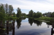 Кобона. Фото 423.