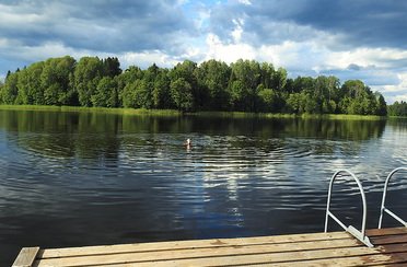 Времена года. Фото 4239.